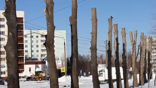 Нижнекамцы: «Это настоящее издевательство!»