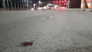 В Рязани женщина выпала из маршрутки на Московском шоссе