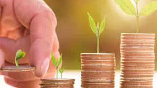 На весеннюю посевную кампанию владимирским аграриям выделили 500 миллионов рублей