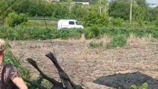 В Пензе спасли лося, провалившегося  в котлован