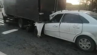 Появились фото с места смертельного ДТП на трассе М-5 в Рыбновском районе