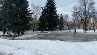 В субботу в Рязани ожидается потепление до +2 градусов