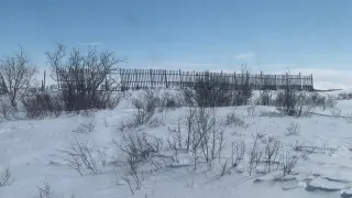 Аномальная жара нагрянет уже в конце декабря: синоптики поведали о сюрпризах, которые подготовила россиянам зима 2024