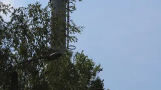 Над Дятьковом подняли флаг Республики Сербской