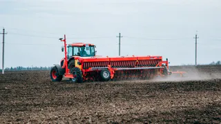 В Чувашии планируют возродить хмелеводство и запустить аграрные инновации