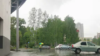 Ночью заморозки до - 5, а днем ливни: Вильфанд дал точный прогноз на первую половину мая