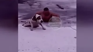 Житель Нижнекамска спас собаку от верной смерти, рискуя своей жизнью