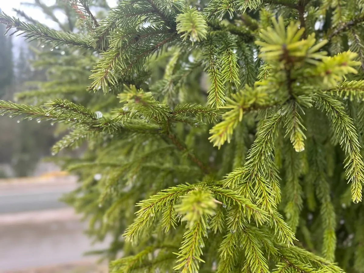 Штормовое предупреждение в Челябинской области: снег, гололед и сильный ветер 29 апреля