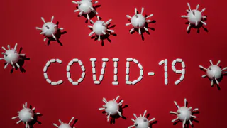 В Брянске за сутки было подтверждено 111 случаев Covid-19