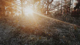 В ночь с четверга на пятницу в Рязанской области ожидаются заморозки