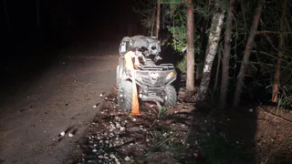 В Клепиковском районе иностранец скончался в ДТП после столкновения с деревом