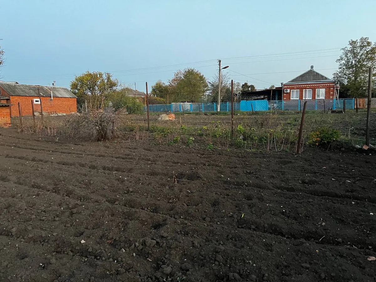 Укорениться сможет даже палка: вот в какой популярный овощ нужно воткнуть черенок — совет агронома 