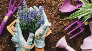 Садоводческие товарищества и общества Нижнекамска