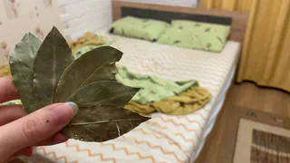 Успокойте свои бессонные ночи с помощью лаврового листа: невероятные свойства, о которых вы и не могли догадываться