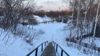 Какие города РФ накроют обильные снегопады и ощутимые морозы - прогноз до конца недели. Синоптики ошарашили прогнозом