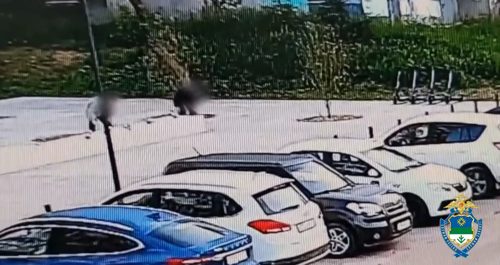 В Сыктывкаре поймали вандала, позарившегося на золотые яблоки