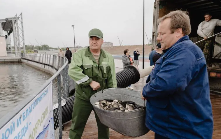 Вологодское озеро в "Притяжении" оживает: первые мальки сазана и толстолобика уже плавают