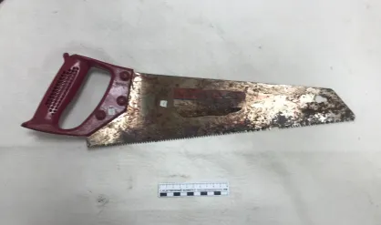 В Коми будет осужден мужчина за попытку убийства пилой