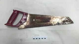 В Коми будет осужден мужчина за попытку убийства пилой