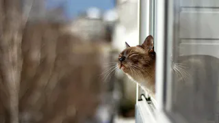 Не стоит ожидать раннюю весну