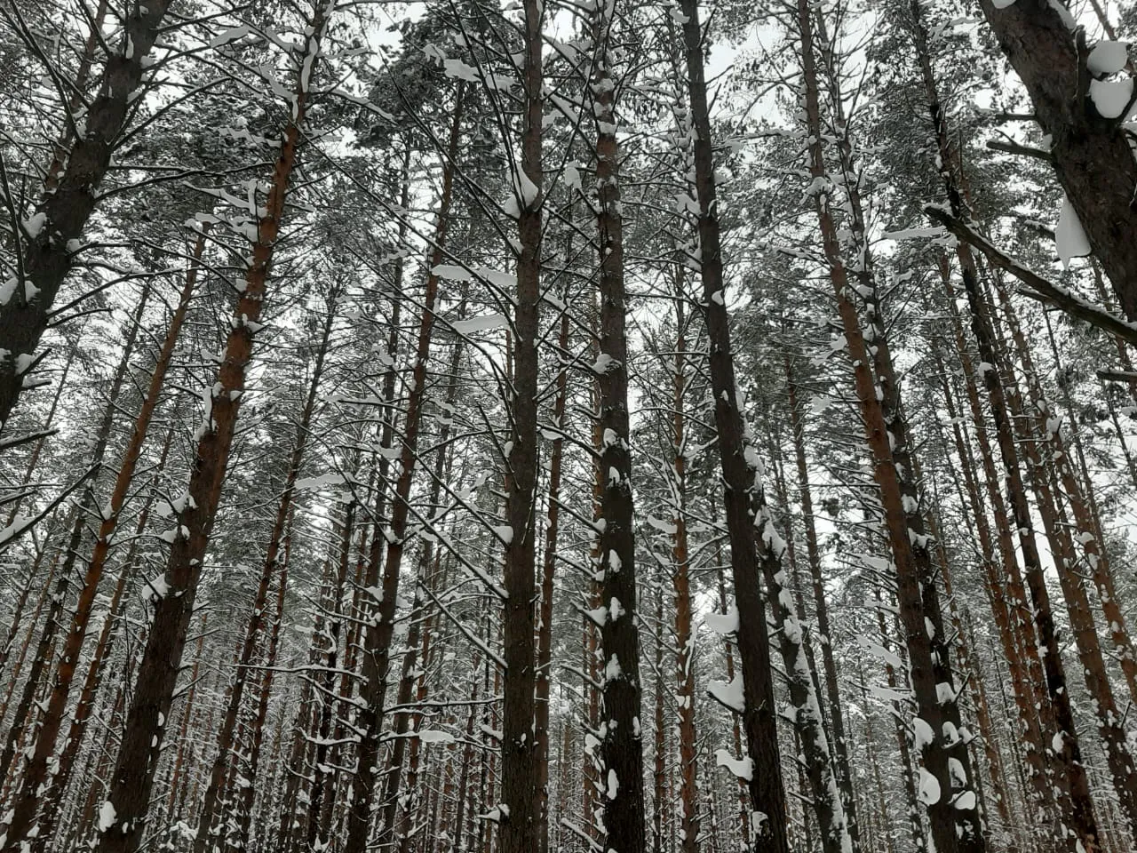 Небольшой снег, похолодание до -27˚ С
