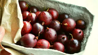 1 ложка и крыжовник не будет болеть: ягоды вырастут крупные и сладкие