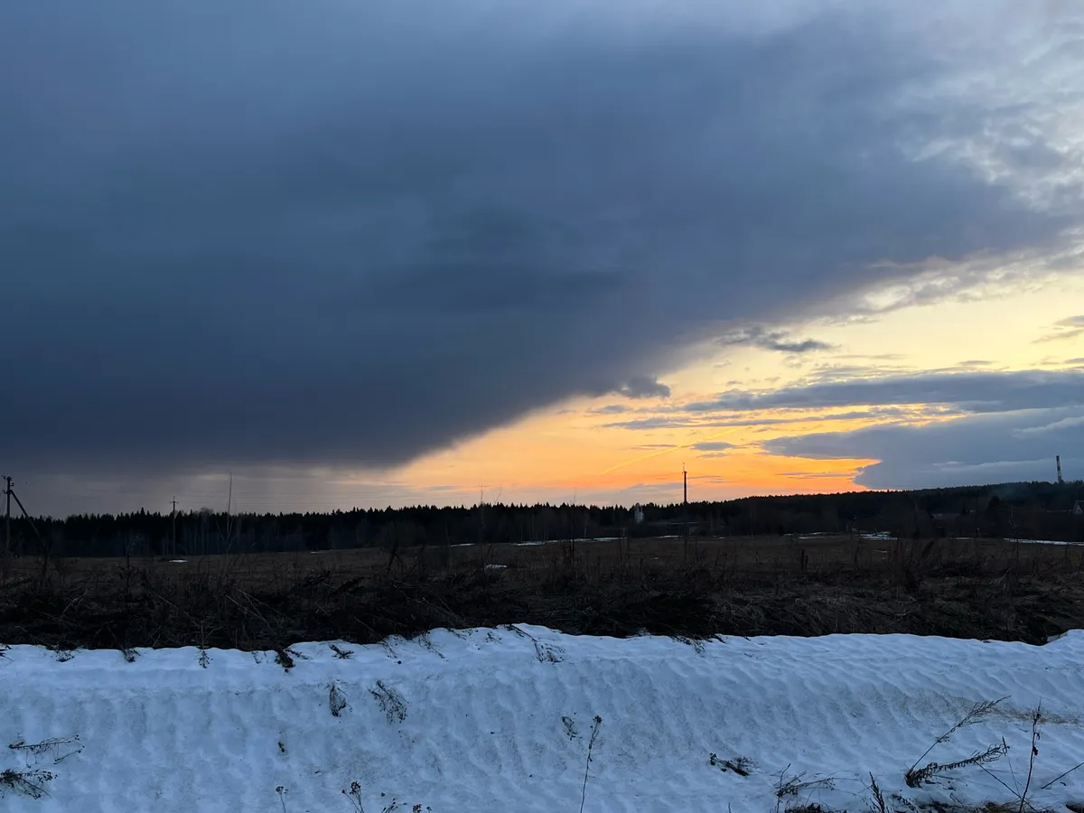 В Татарстане многодетным семьям выдали свыше 54 тысяч земельных участков