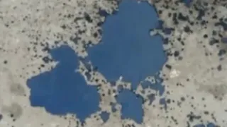 Народный контроль: люди устали смотреть на лужи масла, остающиеся после мусоровозов