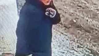 В Коми пропала пожилая женщина