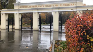 "От улицы Гагарина к парку нет тротуаров": рязанка пожаловалась на состояние ЦПКиО