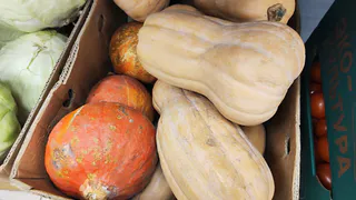 Овощ, который быстро умерщвляет почки: в Европе его не едят, а в России все обожают