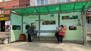 Это слезы счастья: пенсионный возраст понизят до 55-60 лет – приятный сюрприз