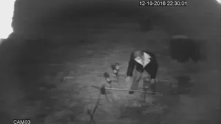 Дачные воры таскают с участков металл, пока хозяева в городе