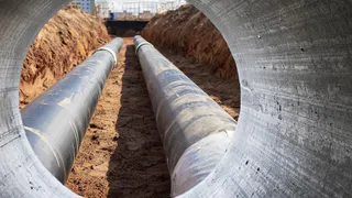 Во Владимирской области обнаружили разложившийся труп мужчины