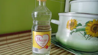 С первым снегом запаситесь 3 литра уксуса: обзор дедовского лайфхака против мышей