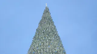 Когда зажгутся огни: график открытия ёлок в Нижнекамске