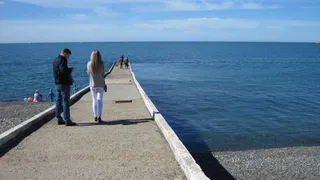 Никому не советую: отдохнувшая на Черном море россиянка поделилась своим печальным опытом