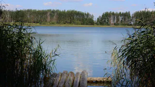 О погоде в Рязани - когда можно пойти на пляж