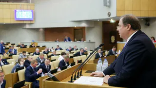 История истощенной приемной девочки из Брянска стала законодательным поводом