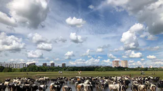Все еще жарко: погода в Рязани на неделю