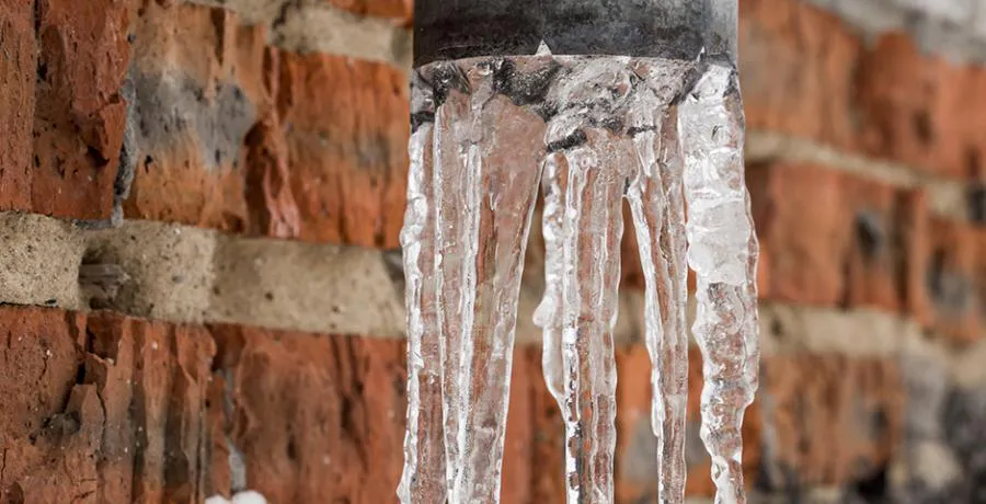 Погода: все думали это зима, а это оттепель