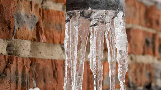 Погода: все думали это зима, а это оттепель