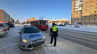 Штраф от 500 до 800 рублей за автомобиль такого цвета: в ГИБДД начали массовые проверки всех водителей