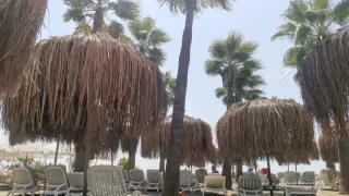 Назван самый дорогой курорт в Краснодарском крае за летний сезон 2024, и это не Сочи