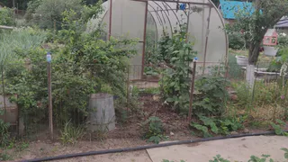 Соседи крутили у веска и смеялись над моей ржавой бочкой — а теперь просят сделать такое же приспособление, дачники точно оценят