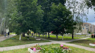 В Рязани за один день посадят более 4000 растений