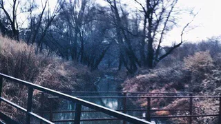 Еженедельная рубрика Instagram: на кого подписаться в Рязани?