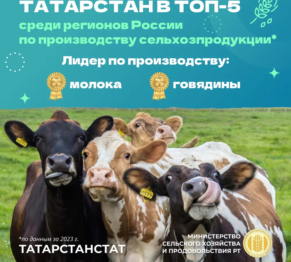 В 2023-м Татарстан вошел в топ-5 регионов России по объему производства сельхозпродукции