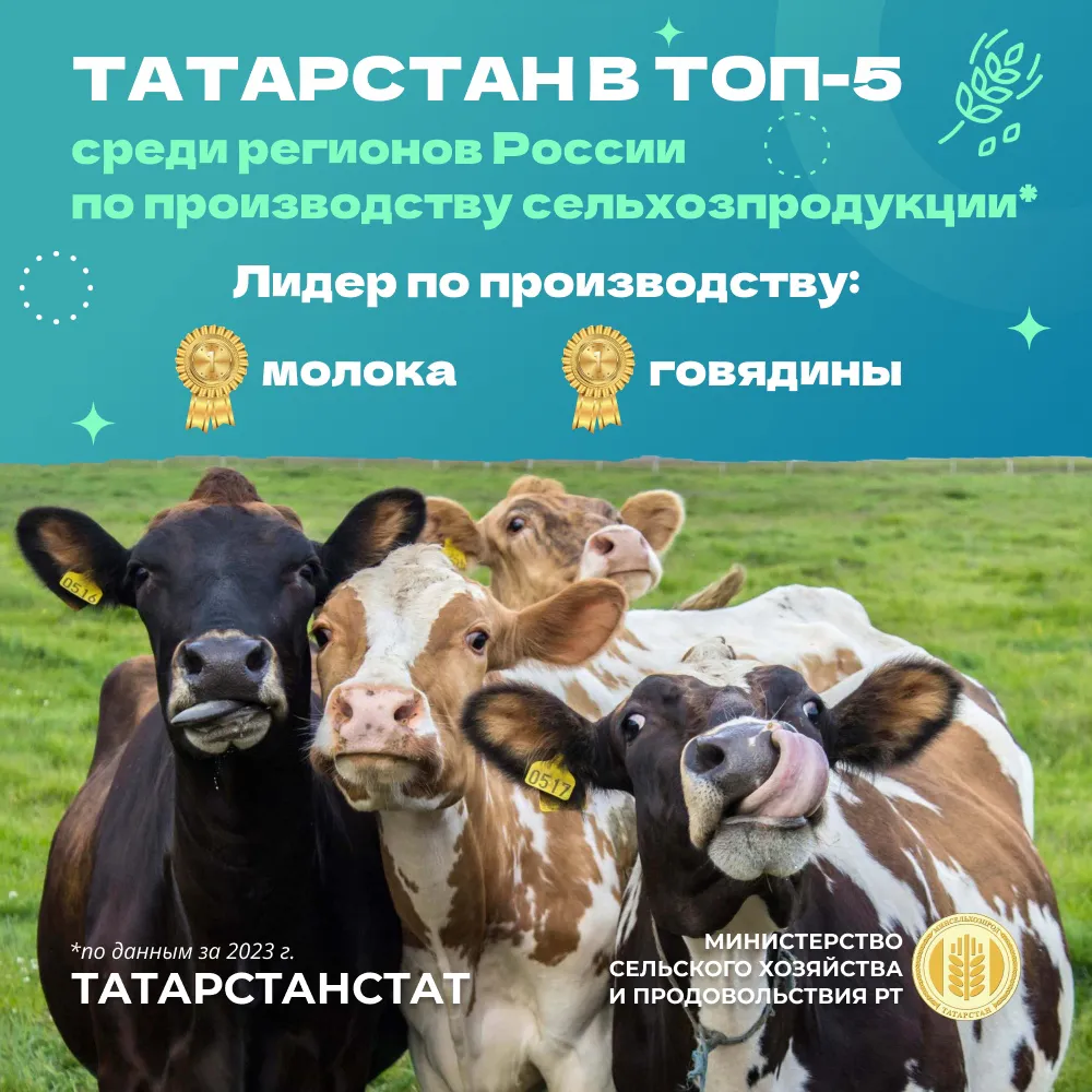 В 2023-м Татарстан вошел в топ-5 регионов России по объему производства сельхозпродукции