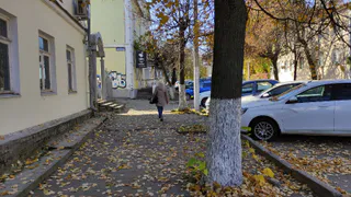 Побелили деревья — нанесли им вред: эти 5 допущений снижают эффективность процедуры до 0